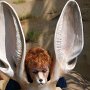 6. Drusillas - Kathy